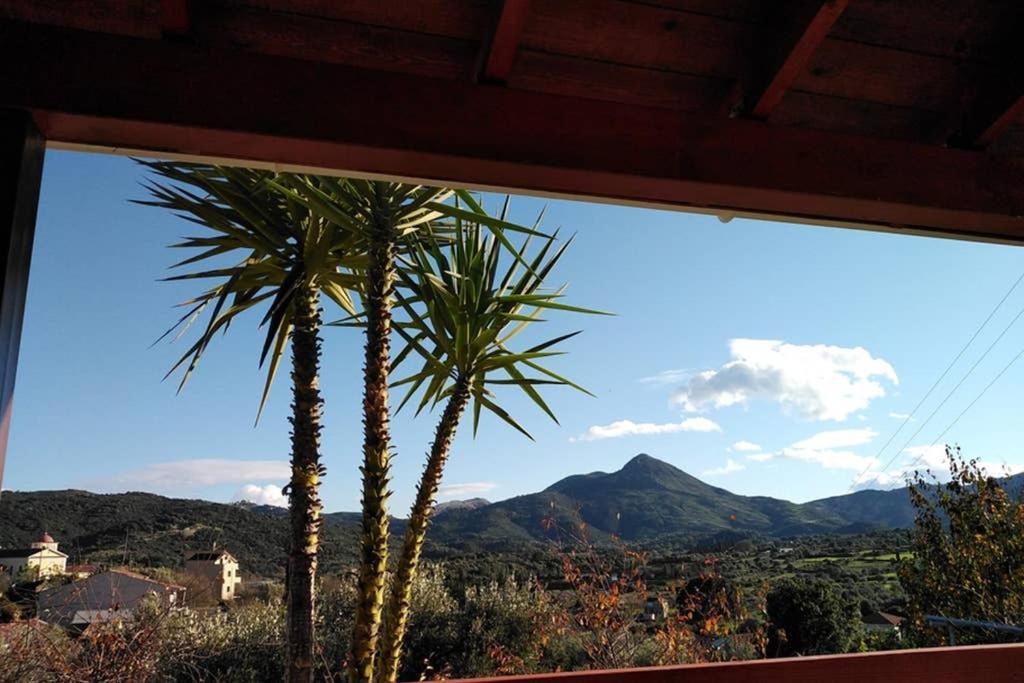 Apartment With Private Pool For Rent In Tzanata Kefalonia Dhimisianata Экстерьер фото