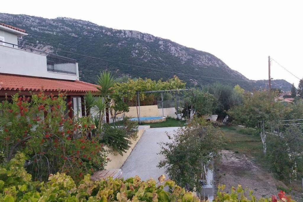 Apartment With Private Pool For Rent In Tzanata Kefalonia Dhimisianata Экстерьер фото