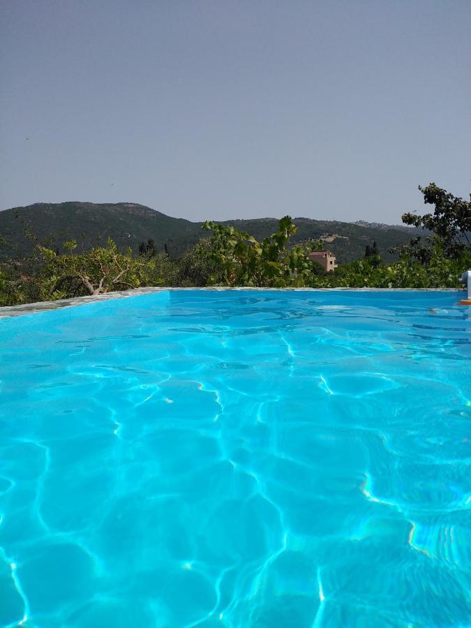 Apartment With Private Pool For Rent In Tzanata Kefalonia Dhimisianata Экстерьер фото